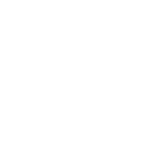 Secure Platform Icon