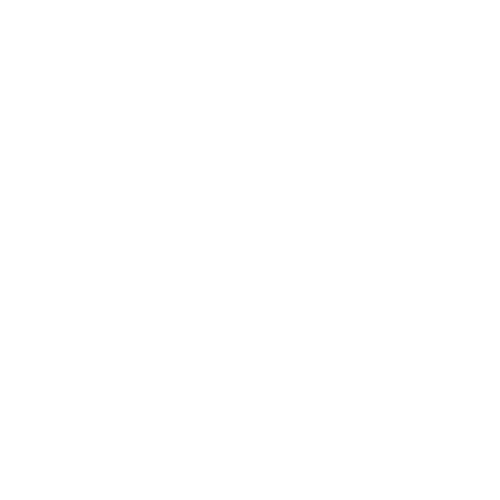 Fast Queue System Icon